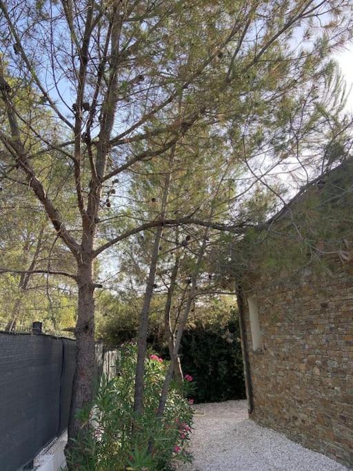 Maison Proche Du Pic Saint Loup ภายนอก รูปภาพ